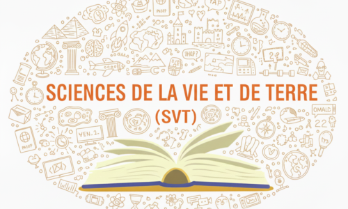Cours de SVT : Classe de 6ème