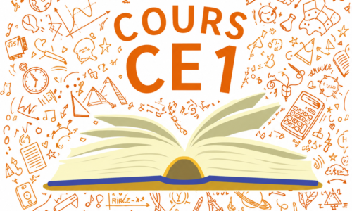 Miniature du cours