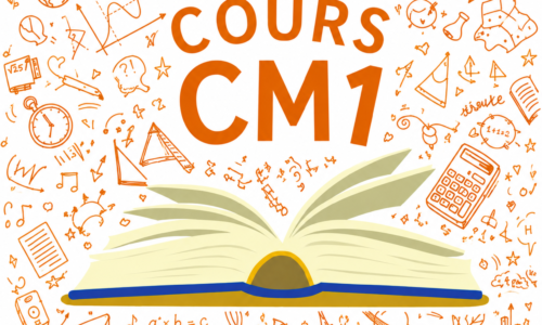 Miniature du cours