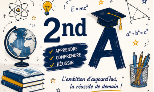 Miniature du cours