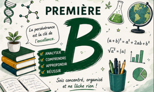 Miniature du cours