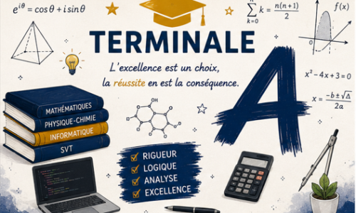 Miniature du cours