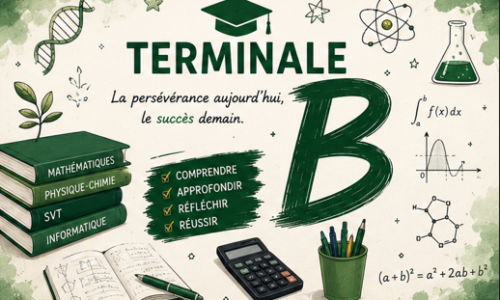 Miniature du cours